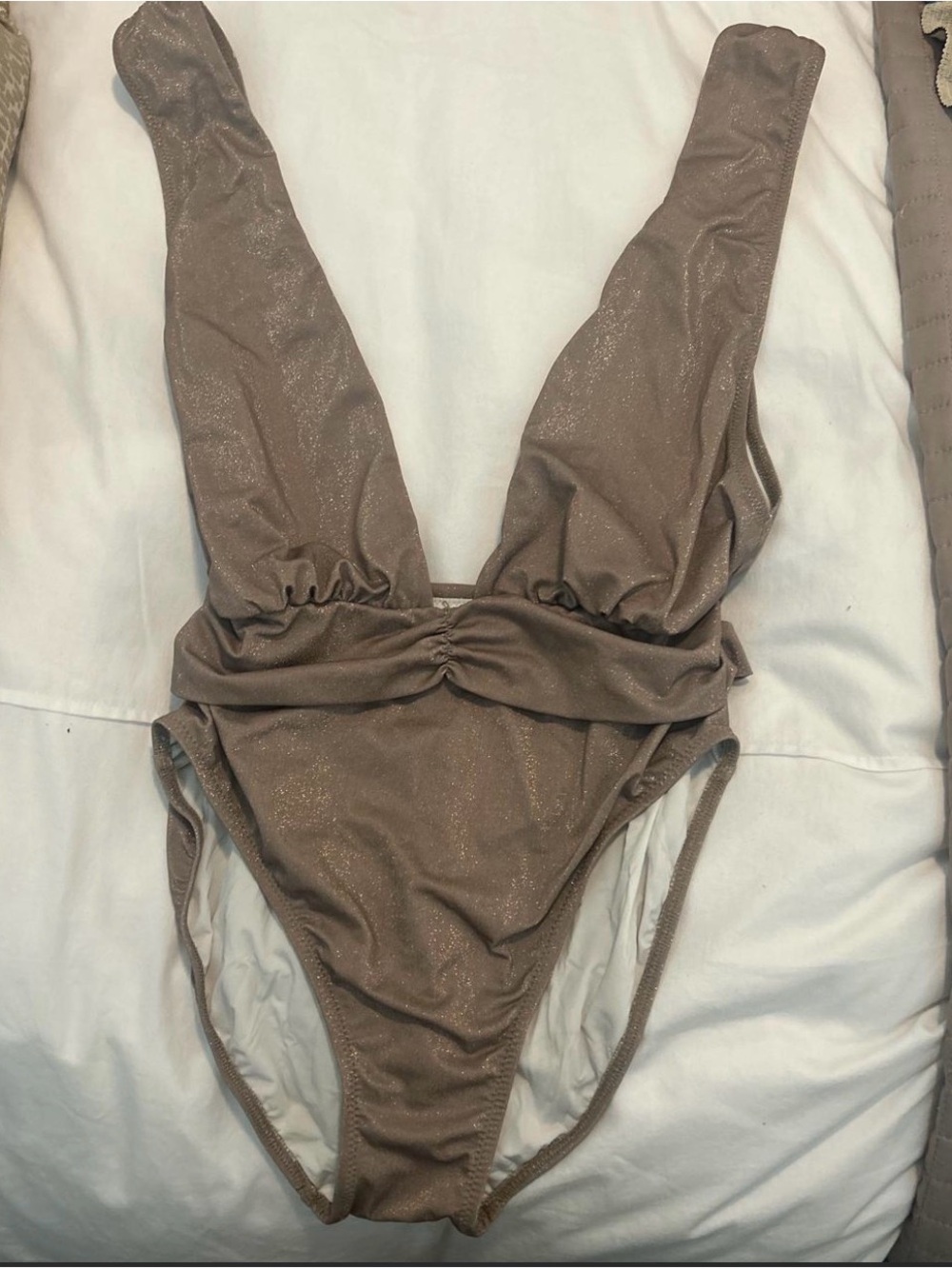 Gottex Shimmery Taupe One-Piece Swimsuit